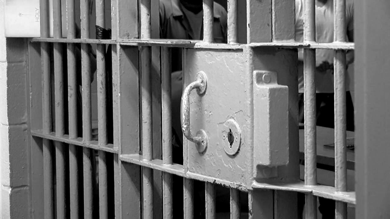 Pioneer man arrested on over 500 child sex crime counts