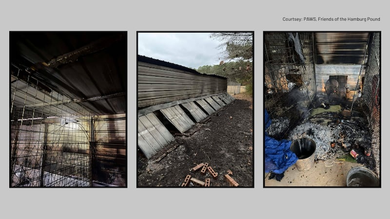 PAWS, a Friends of Hamburg Pound organization, is asking for the community's help after a...