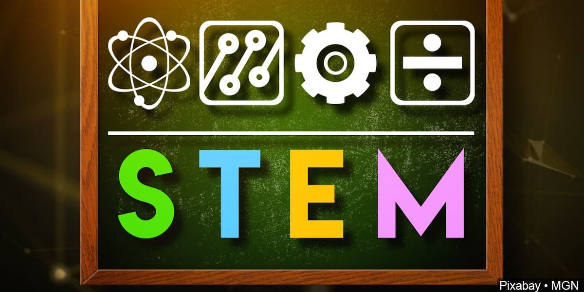 STEMFest coming to Richland Parish Local groups are bringing STEM activities to the Rayville Civic Center on August 15th.