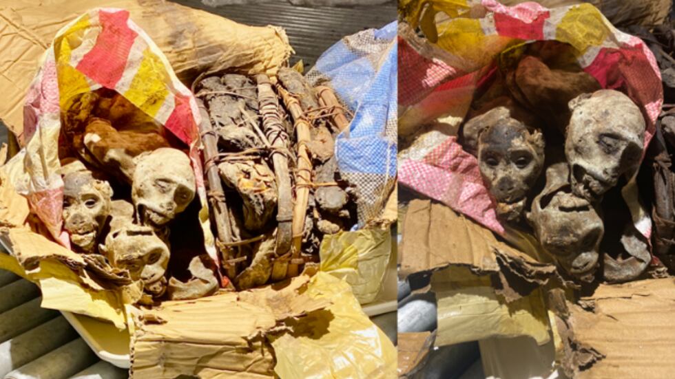 The remains were inside a passenger's luggage on a flight from Paris.