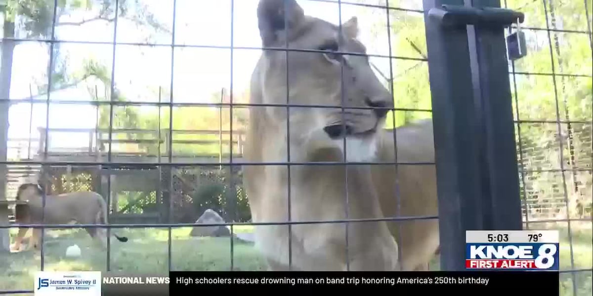 Zookeepers keep animals safe during extreme heat