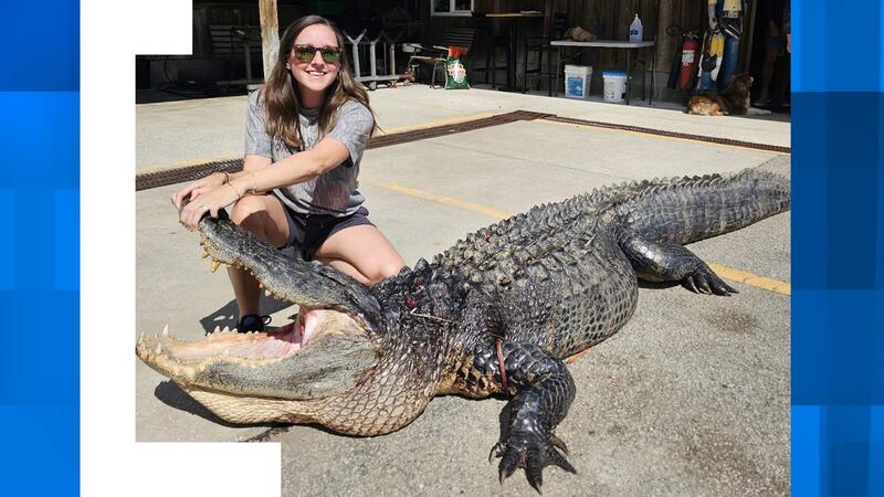 Brittany Livingston poses with her 12-foot, 597-pound alligator in front of Cordray's Farms &...