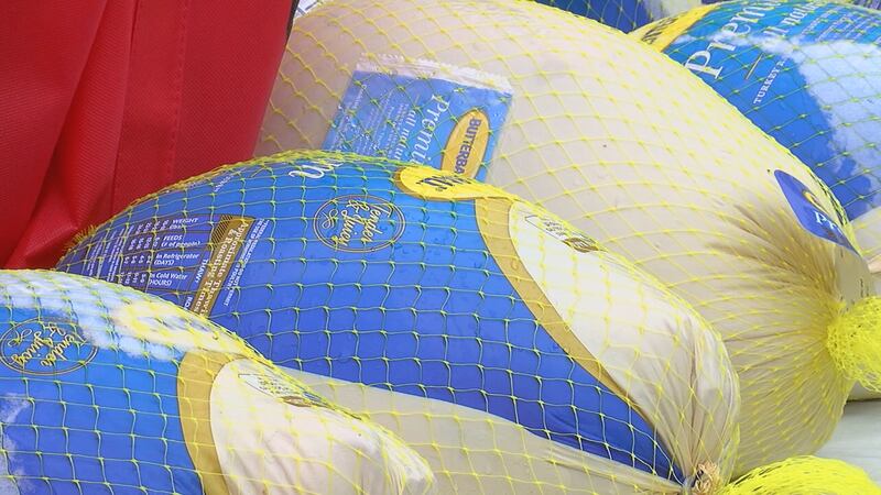 If you are in need of a bird to cook this holiday season, a turkey giveaway is happening in...