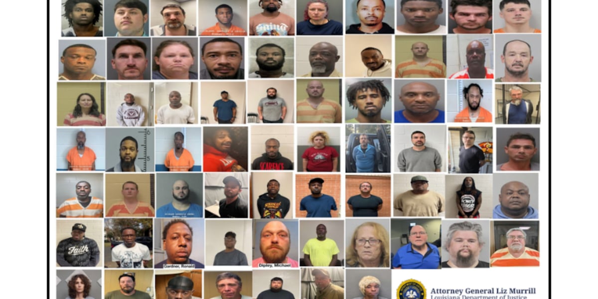 Operation Access Denied' among largest child predator sting in Operation Access Denied' among largest child predator sting in